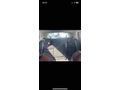 Sahibinden Renault Clio 1.5 dCi Joy 2015 Model 