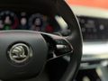 TRUSTY ONATÇA'DAN SKODA OCTAVİA