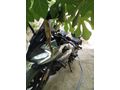 Sahibinden CFmoto 250SR 
