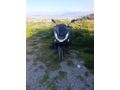 Sahibinden Honda PCX125