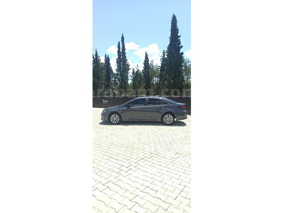 *2026* COROLLA DREAM
