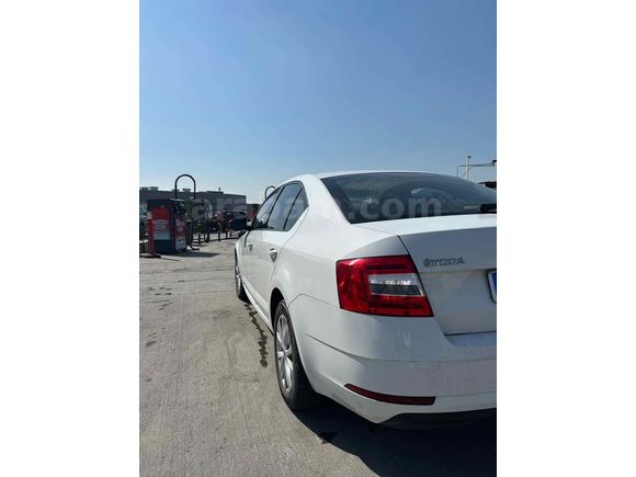Sahibinden Skoda Octavia 1.6 TDI Optimal 2018 Model 