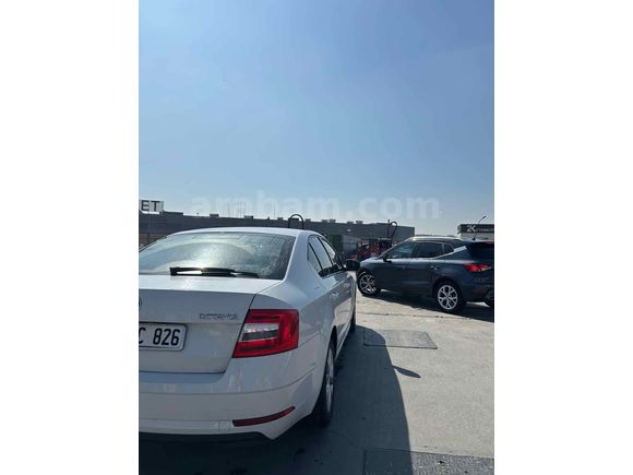 Sahibinden Skoda Octavia 1.6 TDI Optimal 2018 Model 