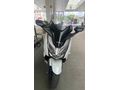 Sahibinden Honda Forza 250 SE 