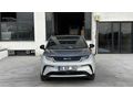 Sahibinden BYD Dolphin Design 2024 Model 