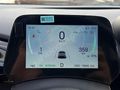 BYD DOLPHİN DESİGN 18.000 KM BOYASIZ CAM TAVAN ÇİFT RENK