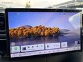 BYD DOLPHİN DESİGN 18.000 KM BOYASIZ CAM TAVAN ÇİFT RENK
