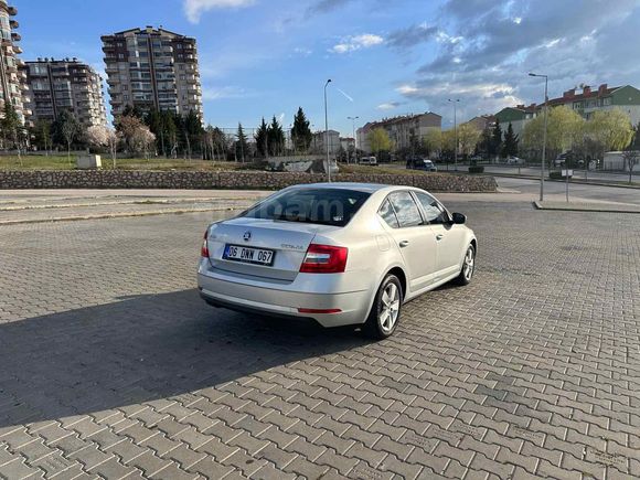 Sahibinden Skoda Octavia 1.6 TDI Optimal 2019 Model 