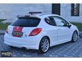 FMS AUTO'dan PEUGEOT 207 RC LE MANS