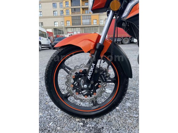 ARORA AR06 2026 50(125)