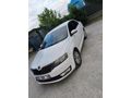 Sahibinden Skoda Rapid 1.4 TDI GreenTec Ambition 2016 Model