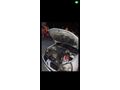 Sahibinden Renault Clio 1.4 Alize 2004 Model  225.000 km Gri