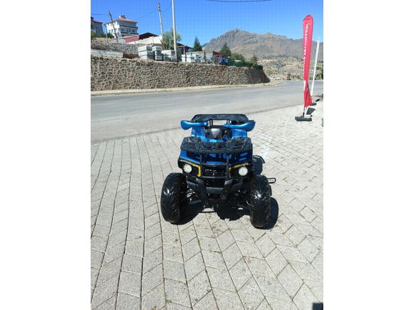 Sahibinden ATV & UTV Revolt RA5