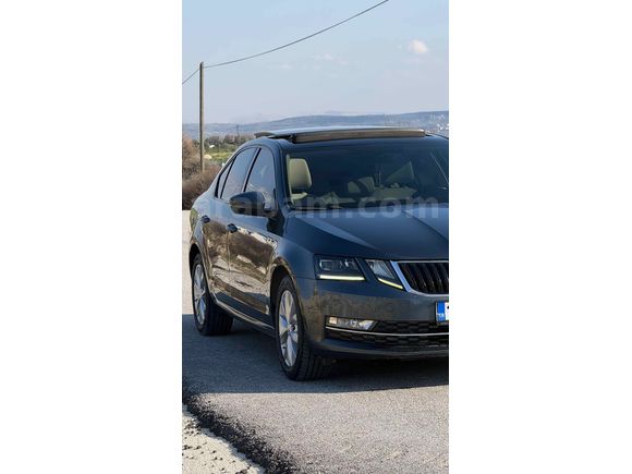 Sahibinden Skoda Octavia 1.6 TDI Style CR 2019 Model 