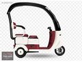REGAL RAPTOR SOLO PRO ELEKTRİKLİ KABİNLİ TRCYCLE
