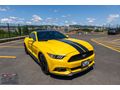 2015 FORD MUSTANG 2.3 FASTBACK ISITMA SOĞUTMA SHAKER 70.000 KM