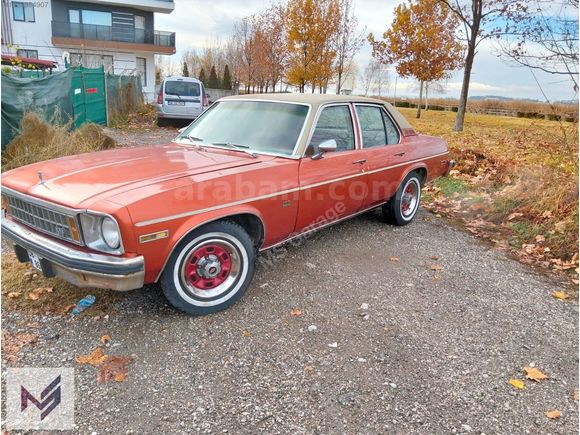 1975 model Nova koldan duz vıtes