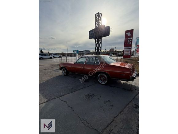 1975 model Nova koldan duz vıtes