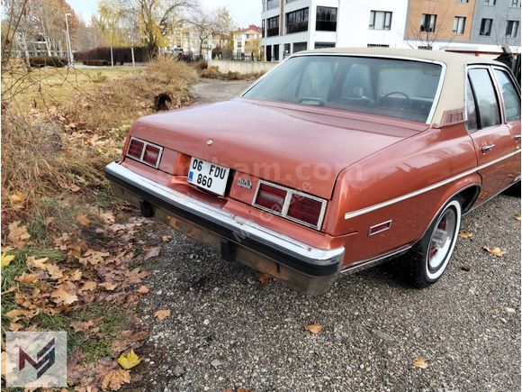 1975 model Nova koldan duz vıtes