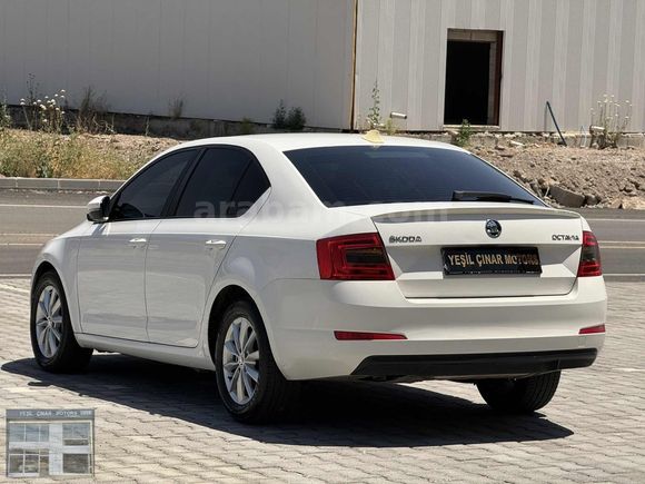 MÜKEMEL TEMİZLİKTE SKODA OCTAVİA AİLE ARACI