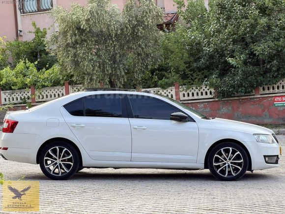 SPORTLAYN ÖZEL SERİ OCTAVİA