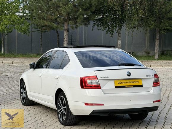 SPORTLAYN ÖZEL SERİ OCTAVİA