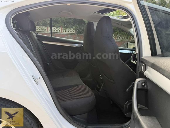 SPORTLAYN ÖZEL SERİ OCTAVİA