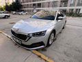 Sahibinden Skoda Octavia 1.5 e-Tec Elite 2021 Model 