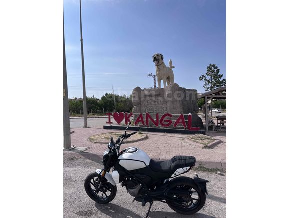 Sahibinden CFmoto 250CL-X 