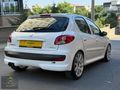 46 CAR'S TAN DÜŞÜK KM