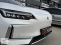 ÖZAY MOTORS' SKYWELL ET5 LEGEND