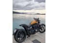 Sahibinden Regal Raptor Pilder 250