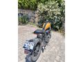 Sahibinden Regal Raptor Pilder 250