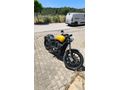 Sahibinden Regal Raptor Pilder 250