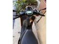 Sahibinden Falcon Turtle 50 