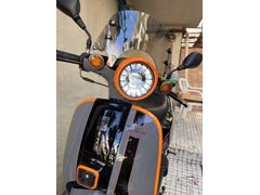 Sahibinden Falcon Turtle 50 