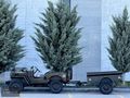 1955 Jeep Willys M38A1 Amerikan Ordu Aracı Koleksiyonluk