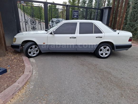 Sahibinden Mercedes - Benz E 200 1994 Model Konya