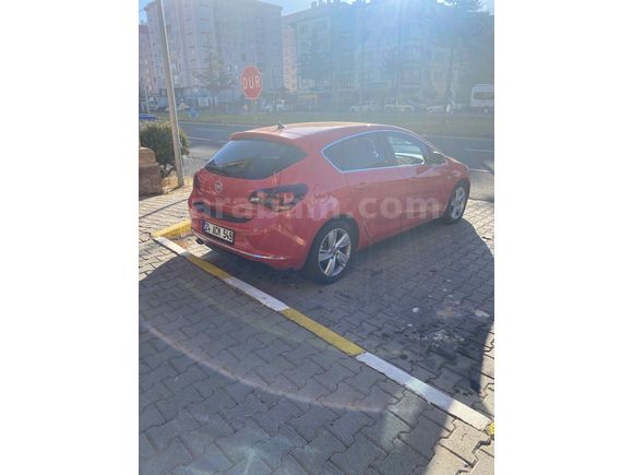Lansman rengi hatasız kaplan