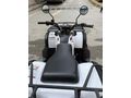 Sahibinden Kuba Garden Trac 150  cc 