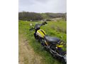 Sahibinden Ducati Scrambler Icon