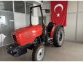 Same Frutteto3 65 Natural Hatay