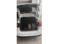 Sahibinden Ford Focus 1.5 TDCi Trend X 2015 Model
