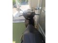 Sahibinden Honda SH 125