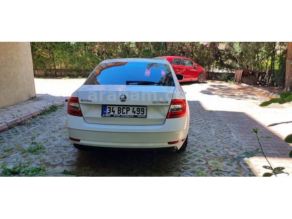 Sahibinden Skoda Octavia 1.6 TDI Optimal 2018 Model 