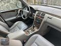 TMG MOTORS 2001 AVANTGARDE KOMPRESSOR