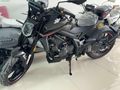 YENI 2025 REGAL RAPTOR SPN 125 TAM BIR GENÇ