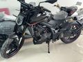 YENI 2025 REGAL RAPTOR SPN 125 TAM BIR GENÇ