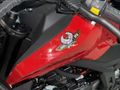 YENI 2025 REGAL RAPTOR SPN 125 TAM BIR GENÇ