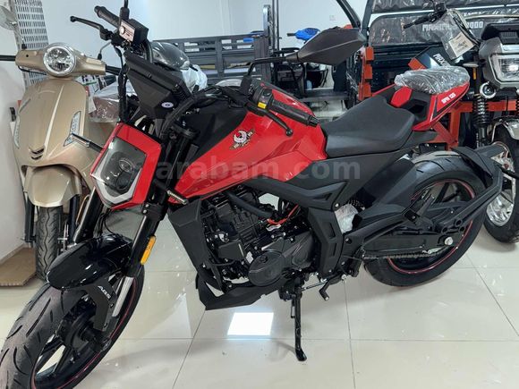 YENI 2025 REGAL RAPTOR SPN 125 TAM BIR GENÇ
